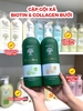 Dầu Gội Xả Biotin Collagen Trắng xanh vàng Giúp Phục Hồi Chống Rụng tóc