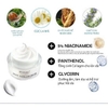 Kem Ốc Sên Dưỡng Trắng Da Nâng Tone Cấp Ẩm Dr Michela Snail Tone Up Cream Whitening Anti-wrinkle Hàn Quốc 30g