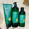 Combo Gội Xả Bưởi Không Sulfate Cocoon Pomelo Shampoo / Hair Conditioner Giúp Phục Hồi, Giảm Gãy Rụng Tóc 310ml-500ml