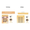 Lông Mi Cụm Cao Cấp Có Sẵn Keo Jary Pro Cluster Lashes Full Box Hộp Nhựa 6 Hàng