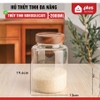 【Cổ Cao】2000ml