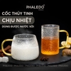 Video Cốc Thuỷ Tinh Harmer Chịu Nhiệt Borosilicate Có Quai Cầm, Ly Uống Nước Có Thể Đun Trên Bếp Hoặc Lò Vi Sóng - PHALEDO