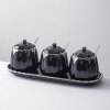 🔴OUTLET | Bộ hũ đựng gia vị gốm sứ (kèm khay sứ) sang trọng phong cách Bắc Âu ảnh 10