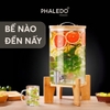 Video Bình Nước Thuỷ Tinh Borosilicate Cao Cấp Chịu Nhiệt Tốt Cho Nhà Hàng, Quán Ăn, Tiệc Tùng, Chân Đế Gỗ Tre - PHALEDO