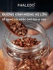 Hũ Thủy Tinh Borosilicate PHALEDO PL-0377 Nắp Inox 304 Kín Khí, Hũ Đựng Thực Phẩm Gia Vị Chống Ẩm Mốc ảnh 8