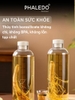 Bình Đựng Nước, Rượu Thủy Tinh borosilicate Cao Cấp Đa Năng Nắp Kín Khí Phaledo (PL-0932) ảnh 3