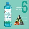 Nước lau sàn đậm đặc hương tuyết tùng nguyên liệu tự nhiên Stanhome Multi Floor Frozen Pine 1000ml