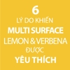 Xịt làm sạch bếp đa năng nguyên liệu từ tự nhiên hương chanh cỏ Stanhome Multi Surface Lemon & Verbena Scent
