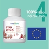 Sáp thơm khử mùi Stanhome Stan Wick Christmas Spirit 250ml hương thơm từ cây thông và khuynh diệp