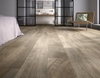 gach-op-lat-van-go-15x60-viglacera-gt15602
