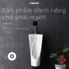be-tieu-nam-caesar-u0235-treo-tuong