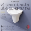 chau-rua-lavabo-caesar-kem-chan-treo-l2220-p2443