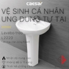 chau-rua-lavabo-caesar-chan-dai-l2220-p2445