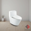 bon-cau-inax-ac-919r-cw-s15vn-nap-rua-co
