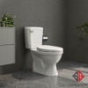 bon-cau-viglacera-vi77-2-khoi-nap-thuong-v1102-kem-lavabo-vtl2