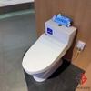 bon-cau-dien-tu-toto-cs302dw14-washlet-tcf24410aaa-c5