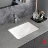 chau-rua-mat-lavabo-viglacera-ts1-am-ban