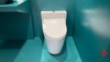 bon-cau-dien-tu-toto-ms625cdw15-washlet-tcf24460aaa-c5-giau-day