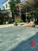 da-xe-xanh-reu-thanh-hoa