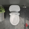 bon-cau-viglacera-vi77-2-khoi-nap-thuong-v1102-kem-lavabo-vtl2