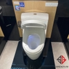 bon-cau-dien-tu-toto-ms636cdrw23-nap-rua-washlet-tcf47360gaa-s7-giau-day