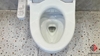 bon-cau-dien-tu-toto-cs838dw18-nap-rua-washlet-tcf23710aaa-c2-simple