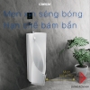 be-tieu-nam-caesar-u0235-treo-tuong