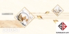 gach-op-tuong-30x60-prime-33051
