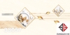 gach-op-tuong-30x60-prime-33057