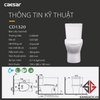 bon-cau-caesar-cd1320-thung-t2220-nap-em