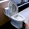 bon-cau-toto-ms855de2-nap-co-ecowasher