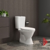 bon-cau-viglacera-vi66-2-khoi-nap-em-kem-lavabo-vtl2