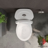 bon-cau-viglacera-vi66-2-khoi-nap-em-kem-lavabo-vtl2