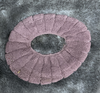 pvn6802-mieng-tham-dem-lot-bon-ve-sinh-hinh-tron-tien-dung