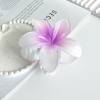 pvn61004-kep-toc-hoa-su-4cm