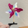 pvn64111-kep-toc-coi-xay-gio-nang-dong-voi-kep-toc-de-thuong-sang-tao-va-ngo-ngh