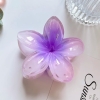 pvn61004-kep-toc-hoa-su-4cm