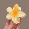 pvn61004-kep-toc-hoa-su-4cm