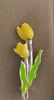 pvn60474-kep-toc-hoa-tulip