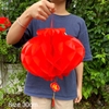 pvn40232-long-den-giay