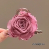 pvn68579-kep-toc-nu-hoa-hong