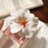 pvn68927-kep-toc-hoa-dam-but-phong-cach-hawaii-di-bien