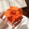 pvn68927-kep-toc-hoa-dam-but-phong-cach-hawaii-di-bien