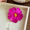 pvn68927-kep-toc-hoa-dam-but-phong-cach-hawaii-di-bien