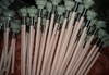 Can nhiệt Pt100, K, J, R, S, B