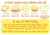 Bánh Mọc Răng Heinz Dành Cho Bé Từ 6 - 36 tháng (Giai đoạn Mọc Răng)