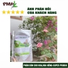 phan-tan-cham-super-probio-pmp-dung-cho-hoa-hong-rau-cu-qua-500g-1-5kg