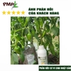 phan-huu-co-nhat-pmp-dang-phan-tan-cham-vien-nen-tu-nhat-ban-chuyen-dung-cho-hoa