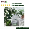 phan-huu-co-nhat-pmp-dang-phan-tan-cham-vien-nen-tu-nhat-ban-chuyen-dung-cho-hoa