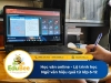 Học văn online - Lộ trình học Ngữ văn hiệu quả từ lớp 6-12
